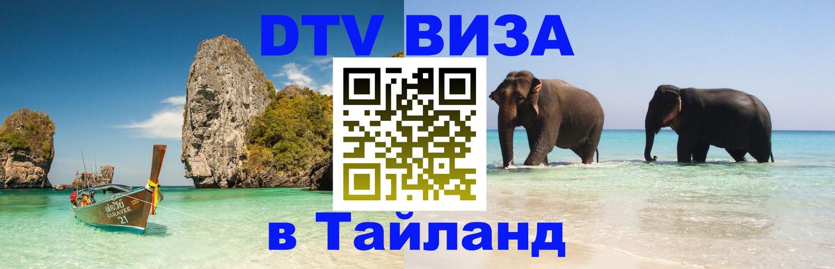 Оформление DTV визы под ключ: стоимость и тарифы, только загранпаспорт - 